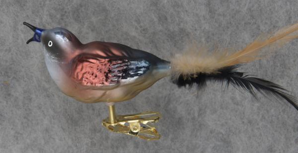 Neuntöter mit offenem Schnabel